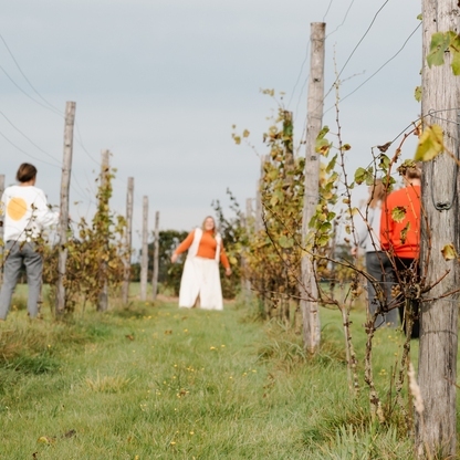 Zakken in zachtheid: een healing dag voor mama's in co-ouderschap - 19 april